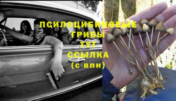 mix Каменногорск