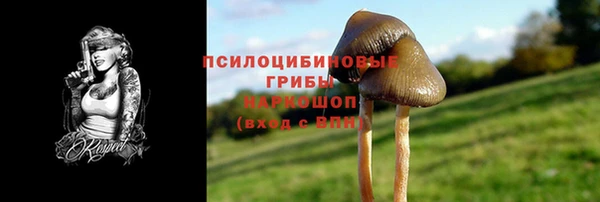 хмурый Каменск-Шахтинский