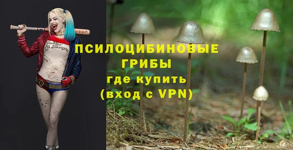 хмурый Каменск-Шахтинский